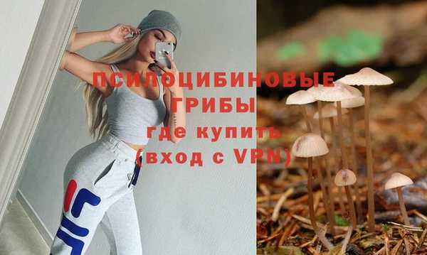 стафф Белокуриха