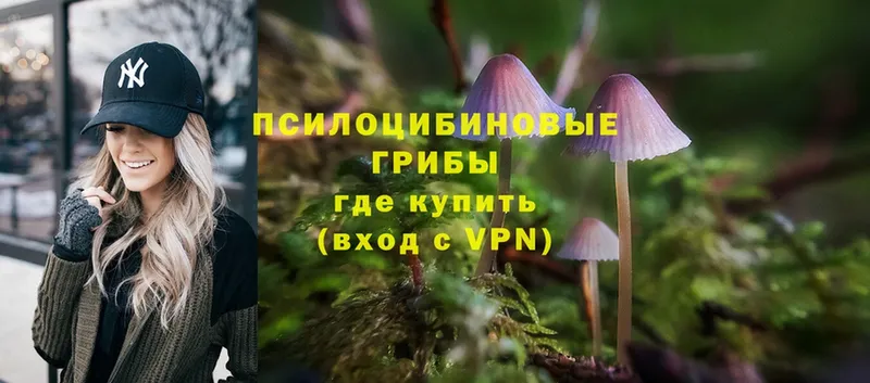 купить  цена  KRAKEN сайт  Псилоцибиновые грибы Cubensis  Бутурлиновка 